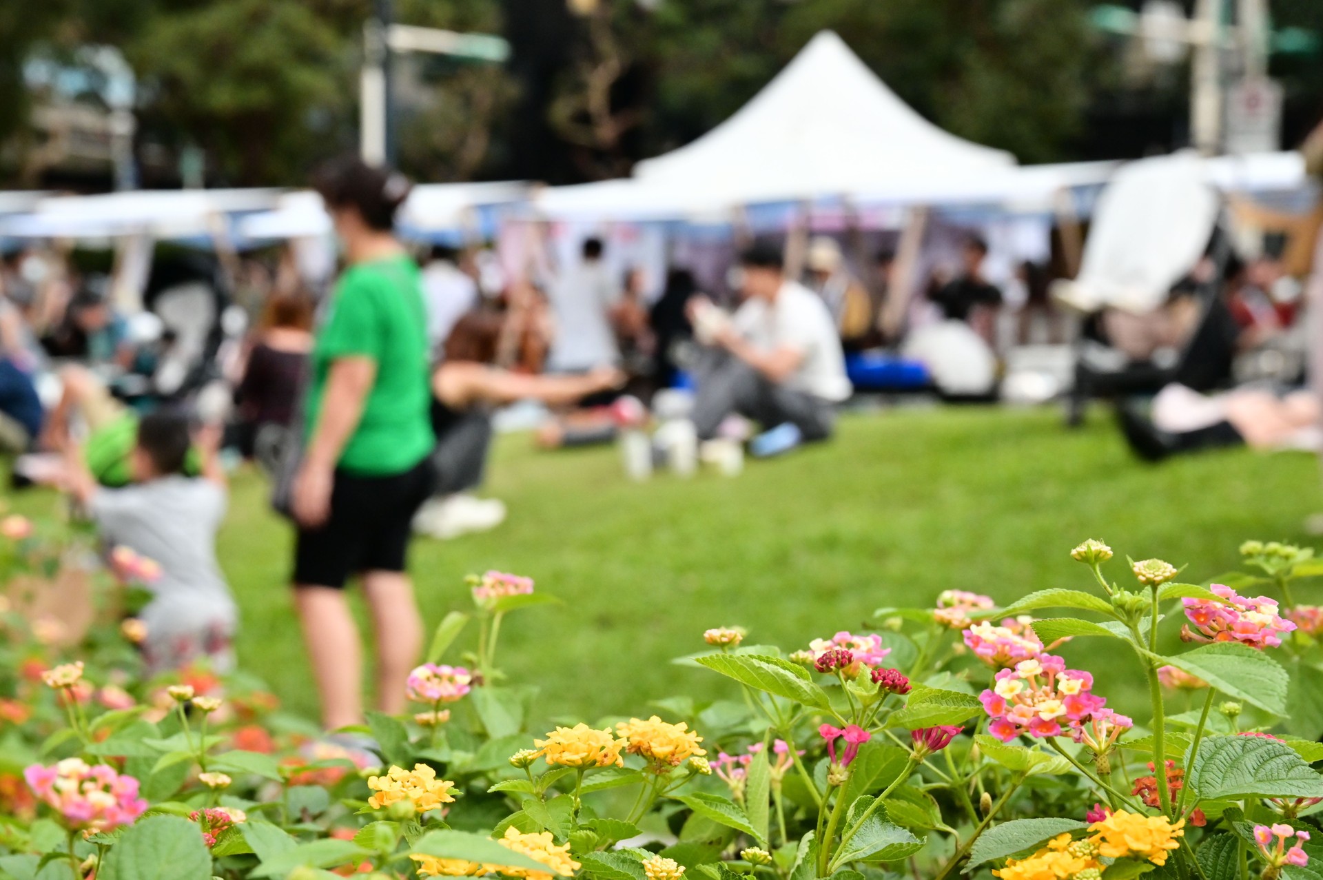 Urban Oasis: Huashan Grassland in Taipei